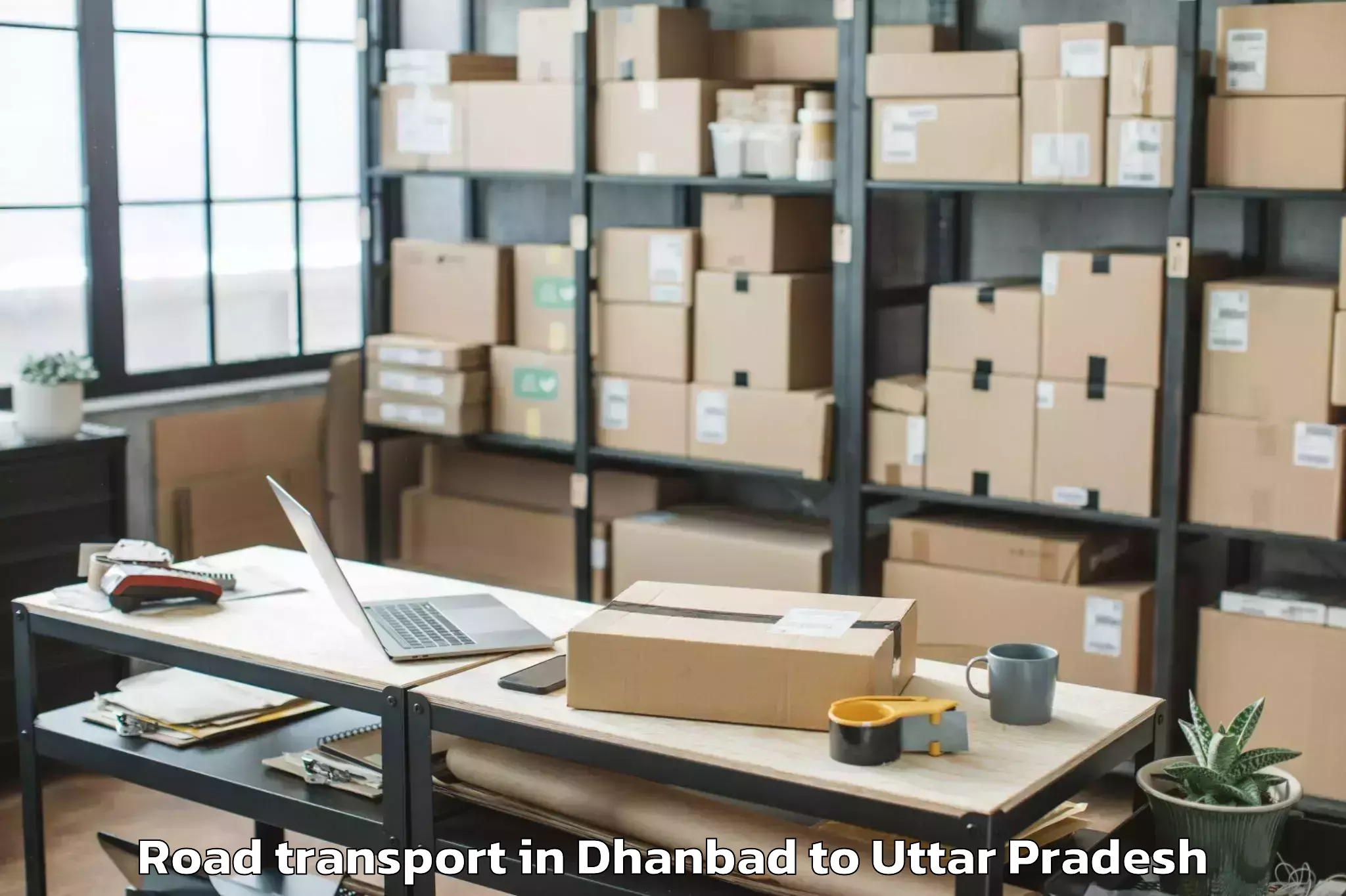 Quality Dhanbad to Manjhanpur Road Transport